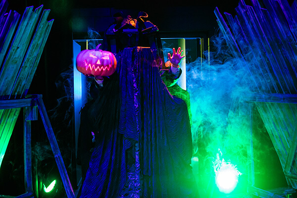 Too Much Light Makes the Baby