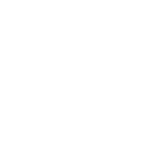 bulb icon