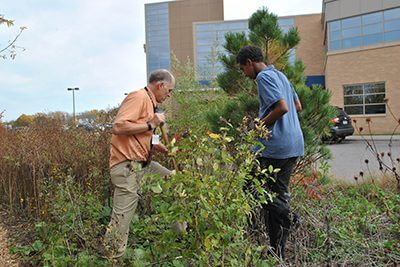 E club planting trees