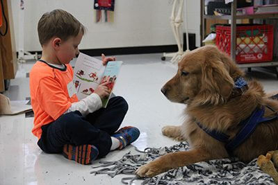 Lower schooler reading to therapy dog