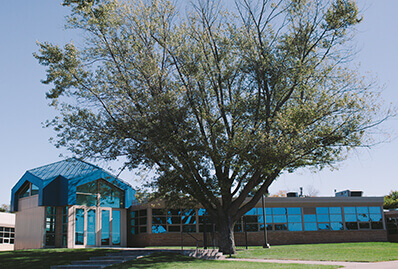 a tree blooming on campus