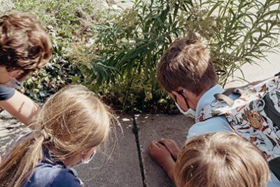 students observing a grasshopper