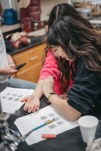 Students working on Anatomy Lab