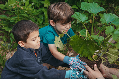 PreK students planting in the science garden this summer