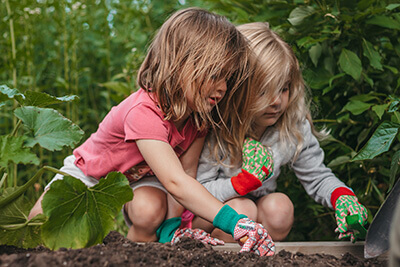 Two PreK students working together in the garden